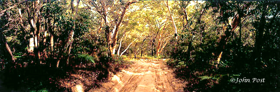 View of sandy road