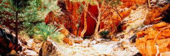 Stanley Chasm Alice Springs