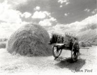 Wagon and Haystack India