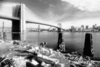 Thanksgiving Dinner by the Brooklyn Bridge