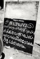 Todays Special