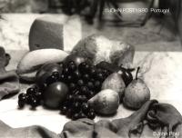Lunch Bodega Style Portugal 80