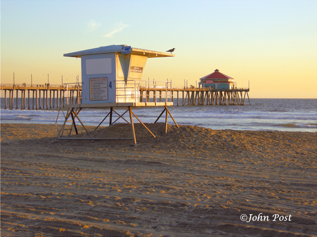 Tower 4 Bird & Huntington Beach Pier Sunset