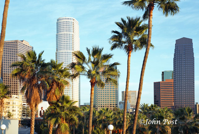 View of white high rise and other buildings thru palm trees, downtown los angelesGRP43