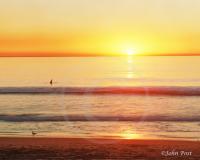 Lonely Surfer