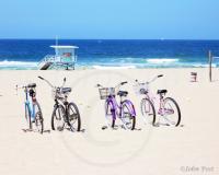 Bikes Balls and 005 Beach