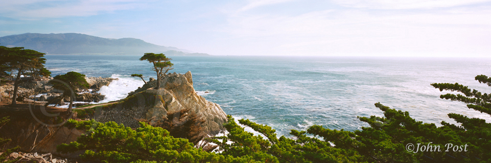 Seascape of isolated California Cypress on rocky point overlooking the ocean.