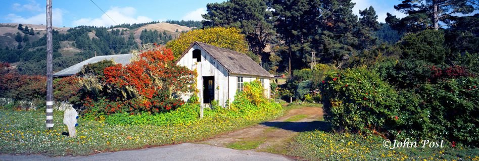 Overgrown building