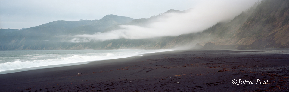 Seagull on Black sand beach