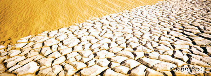 dried cracked mud