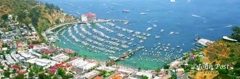 Avalon Harbor Catalina Island aerial