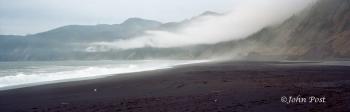 Black Sand Beach and Seagull