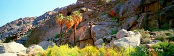 Anza Borrego Palm Canyon Desert