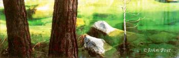 Green River and Trees