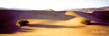 Death Valley Dunes Stovepipe Wells