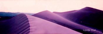 Evening on the Sand Dunes