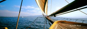 Sailing Off Redondo Beach California