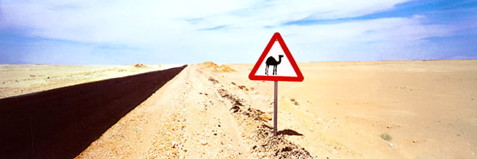 Camel crossing sign