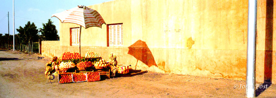 Roadside fruit stand