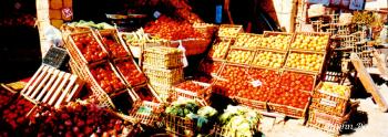 Vegetable Stand Siwa Oasis