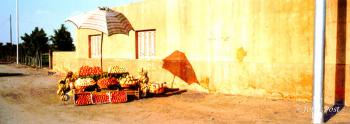 Roadside Fruitstand Cairo