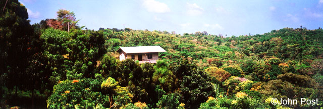 Grenada House