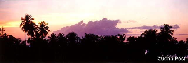 Palmline & Evening Cloud Grenada