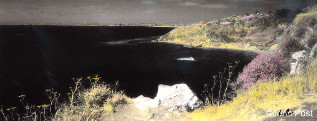 Bluff Cove