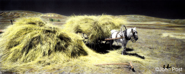 Hay Harvest, Turkey
