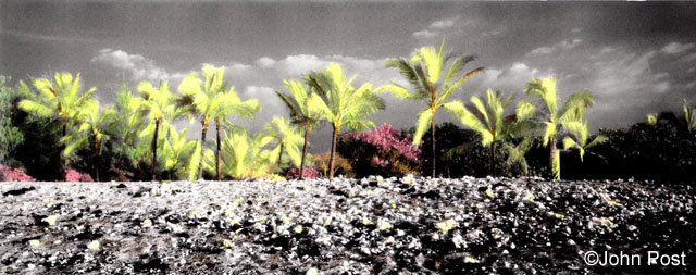 Kona Beach