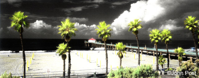Manhattan Beach Pier, Palms and Cloud