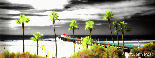 Manhattan Beach Pier, Palms and Wave