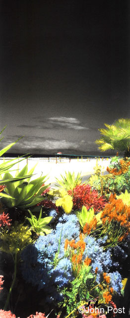 Strand Garden, Vertical