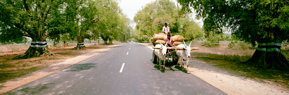India, subcontinent, south India