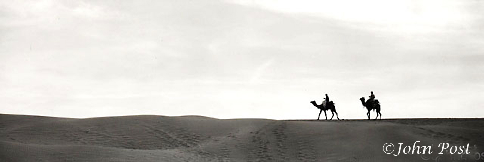 camels and riders on dunes - INDIA PANORAMA by John Post