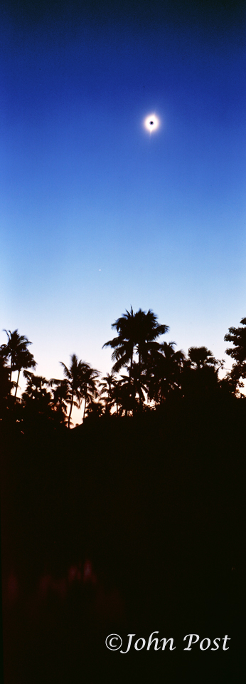 Solar Eclipse, India'96Tree Silhouettes