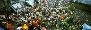 Calcutta Kolkata Flower Market India