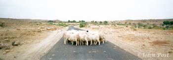 Rajasthan Roadblock