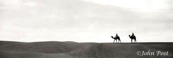 Silhouette of Camels and Riders on Sand Dune