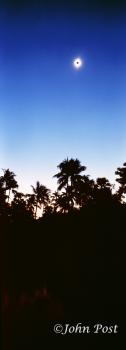 Solat Eclipse and Palm Trees India