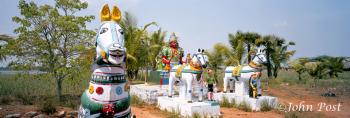 Village Guardians South India
