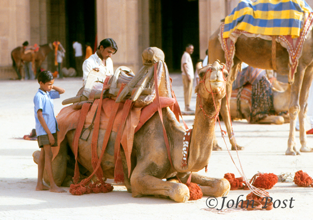 India, subcontinent, Bikaner