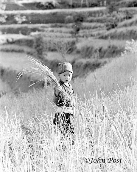 Nepali Boy