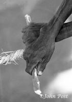Hands and Rope