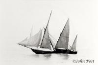 Latine Rig Sailing India Coast