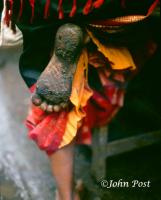 Muddy Foot South India