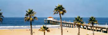 Manhattan Beach Pier with Six Palms A