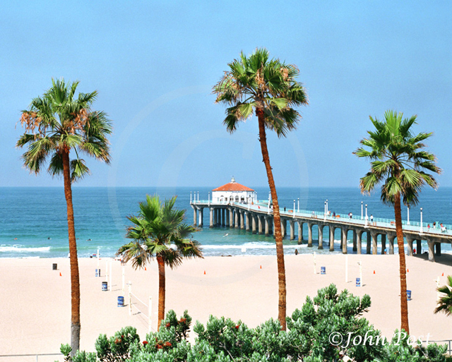 Manhattan Beach Pier, Beach and Palms Trees