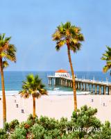 MB Pier and Palms Vertical