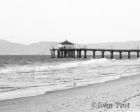 MB Pier Standing Bird Black and White